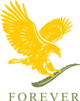 forever-logo-93E476442D-seeklogo.com